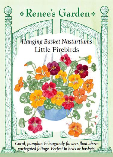 Renee's Garden: Hanging Basket Nasturtiums Little Firebirds