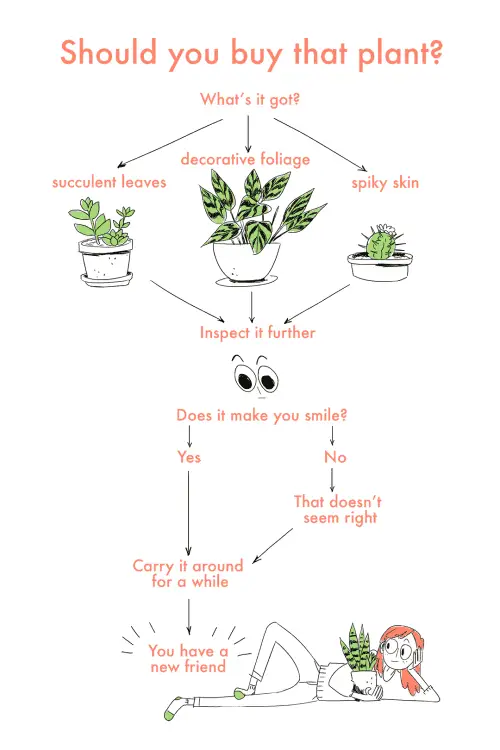 Should You Buy That Plant?