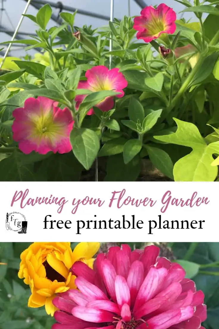 Planning your Flower Garden