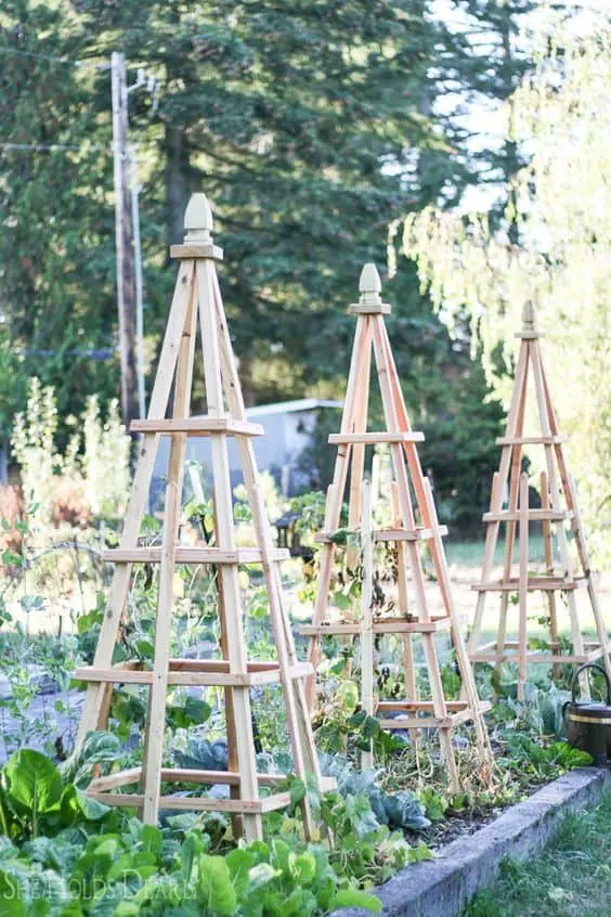 DIY Tuteur Trellis