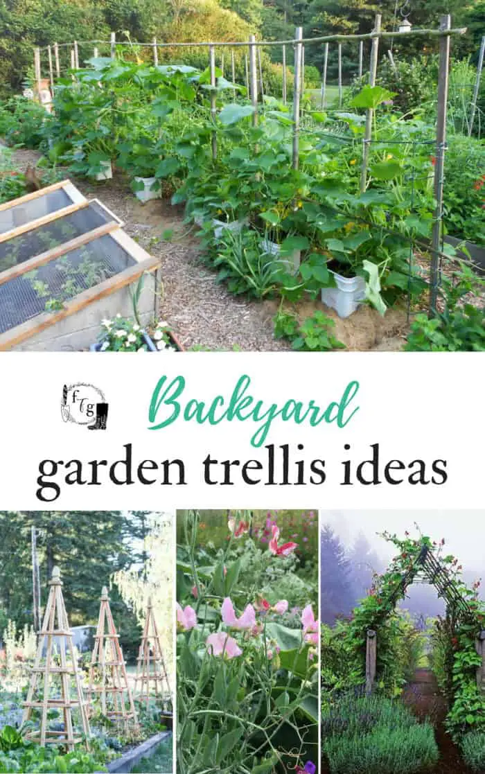 Garden trellis ideas #gardentrellis #trellis #backyardgardening #landscaping #landscapingideas #gardentips #gardening #verticalgardening 