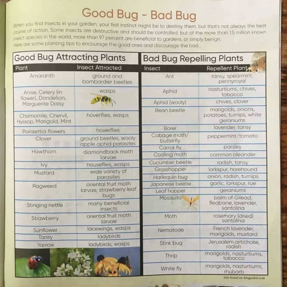 Good Bug-Bad Bug Lists