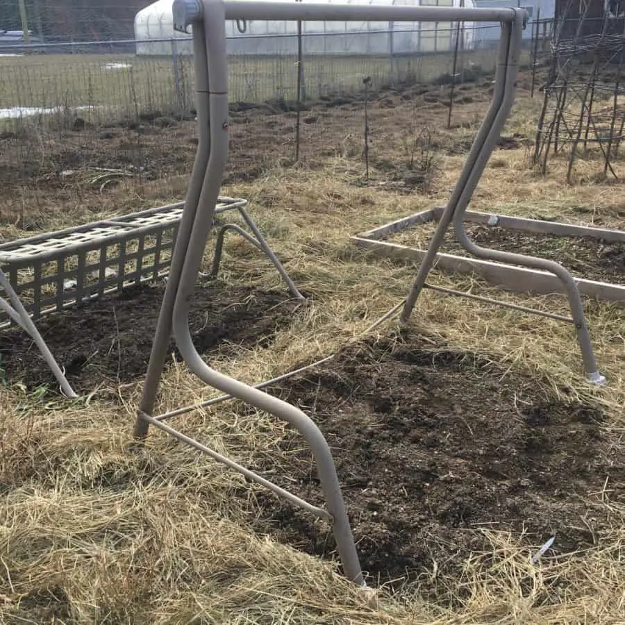 Re-purposed old swing set into 2 garden trellises for cucumbers and pole beans