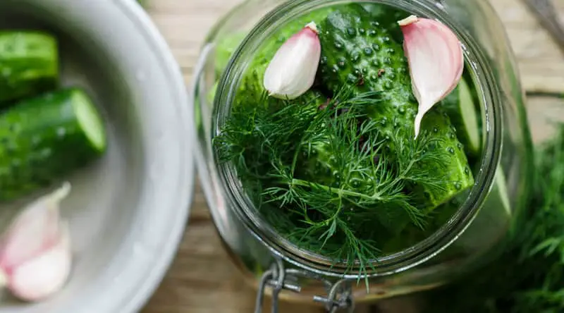 Crispy Dill Recipes for Canning
