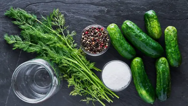 Crispy Dill Recipes for Canning