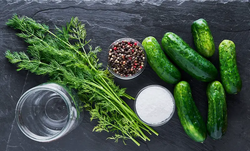 Crispy Dill Recipes for Canning