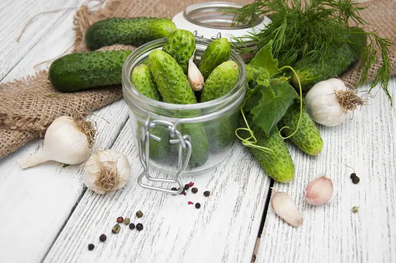 Crispy Dill Recipes for Canning