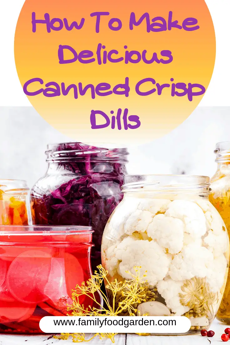 How To Make Delicious Canned Crisp Dills