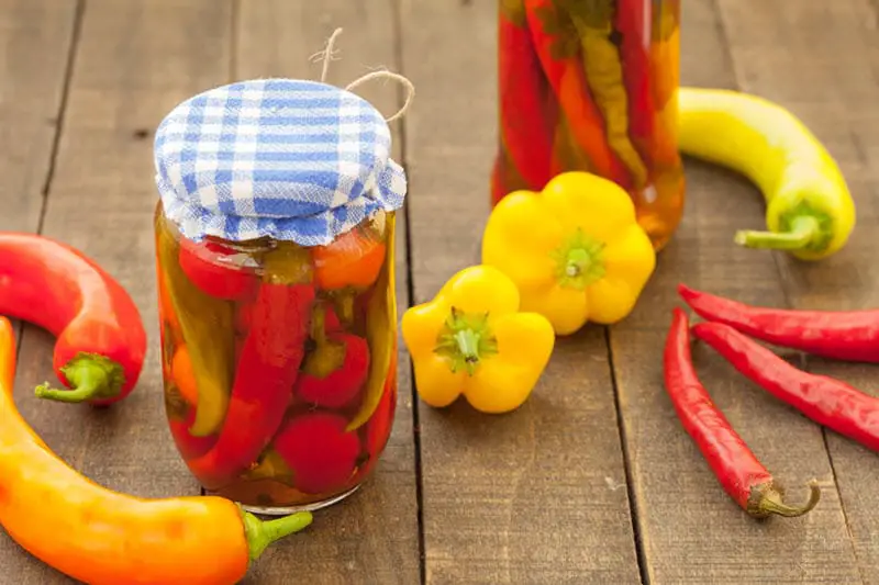 Jalapeños Canning Recipes