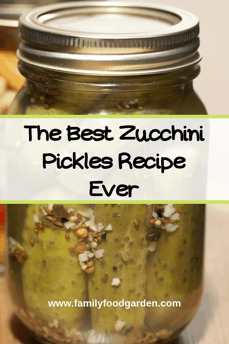 The best zucchini pickles recipe ever