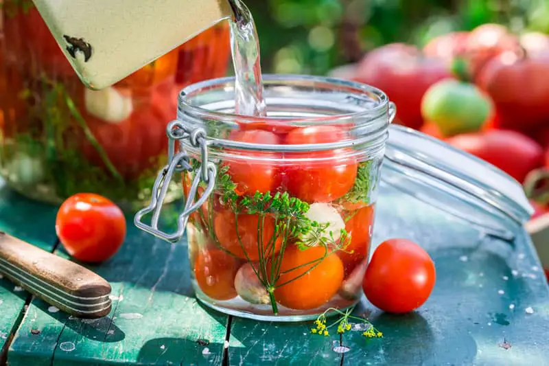 Canning Tomatoes Recipes