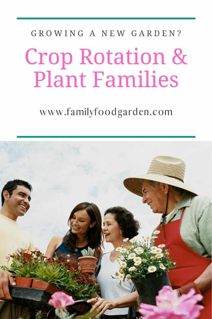 Growing A New Garden? Crop Rotation & Plant Families