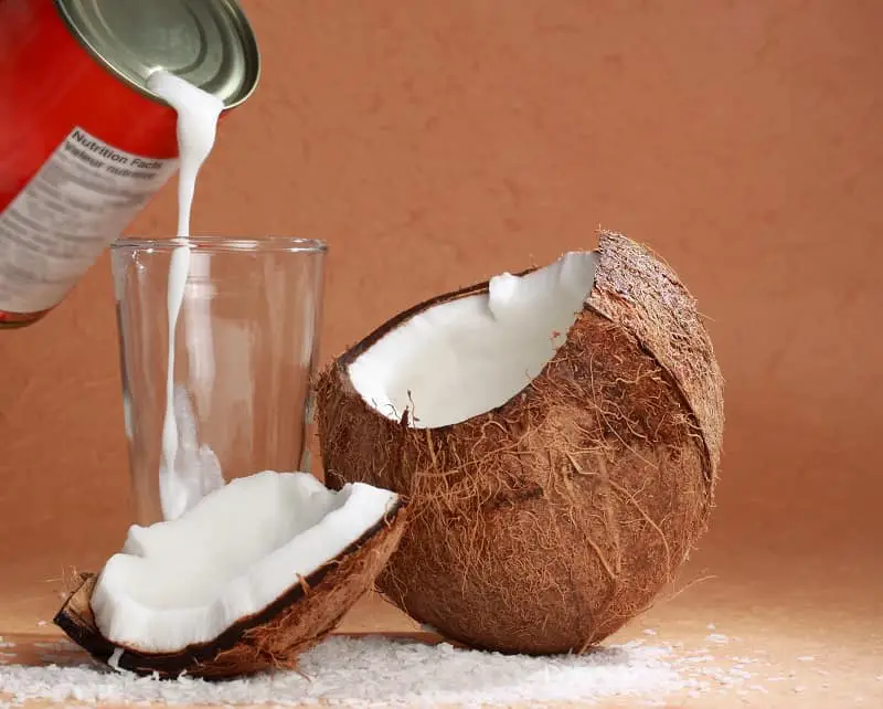 Does Coconut Milk Spoil?