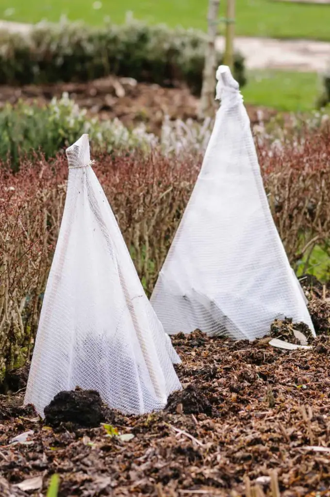 How to Make Shade For Plants