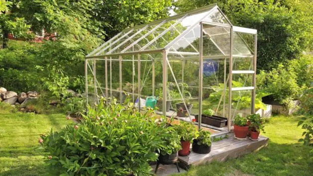 How To Keep Your Greenhouse Cool in the Summer