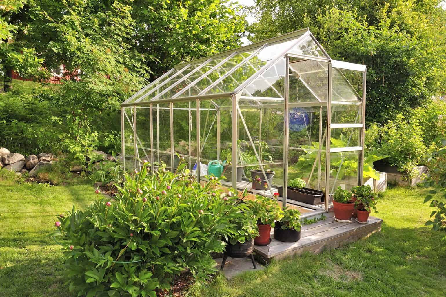 Cooling a Greenhouse. 