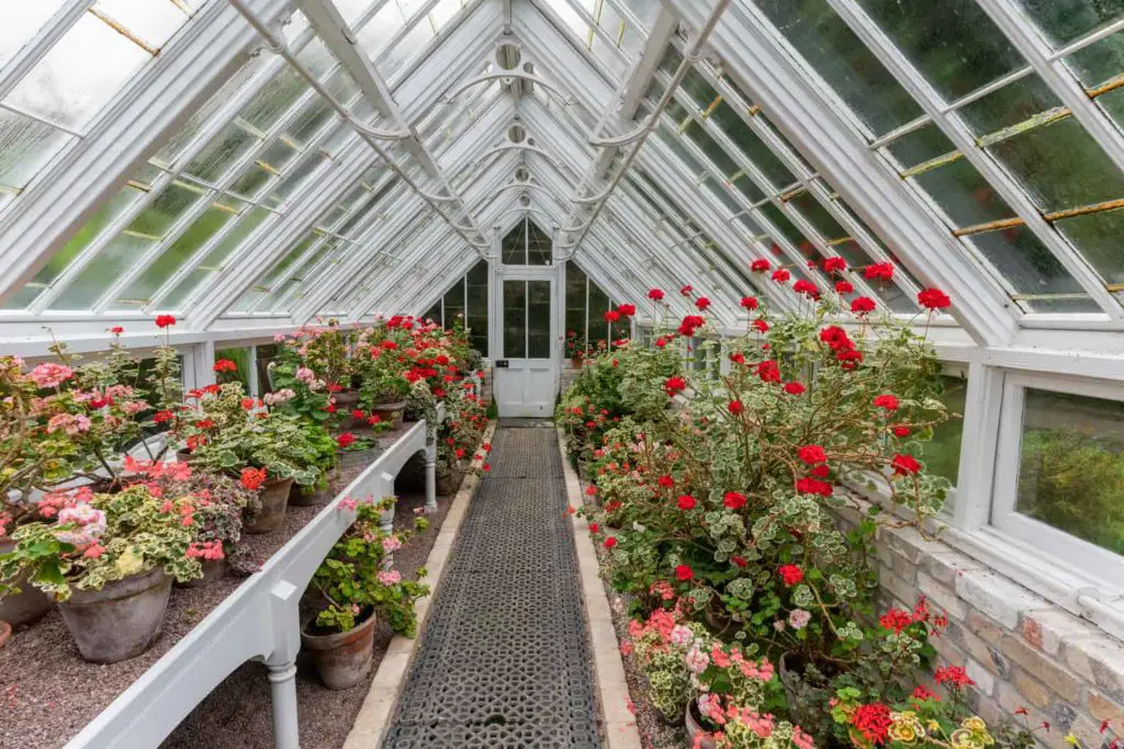 How To Keep Your Greenhouse Cool in the Summer