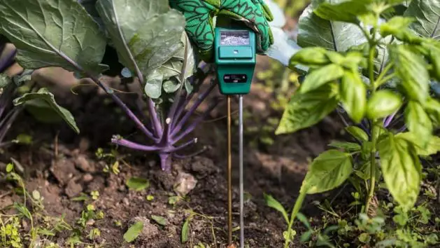 Best Soil Test Kit