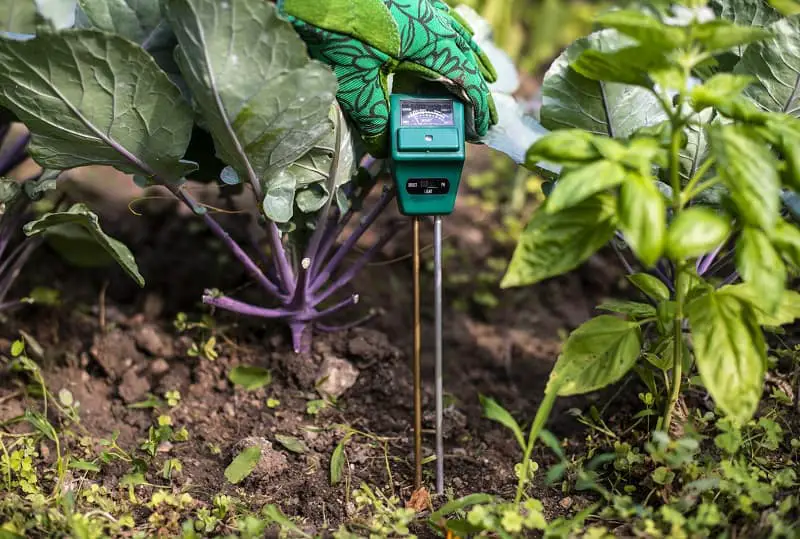 Best Soil Test Kit