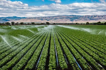 Irrigation