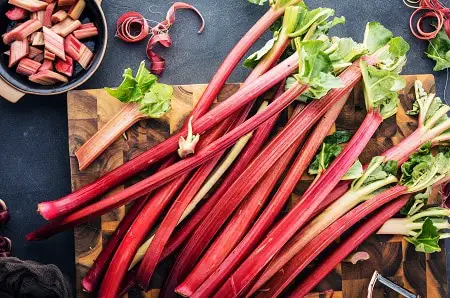 Rhubarb