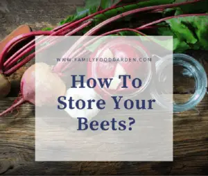 best way to store beets