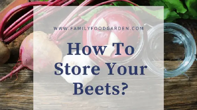 best way to store beets