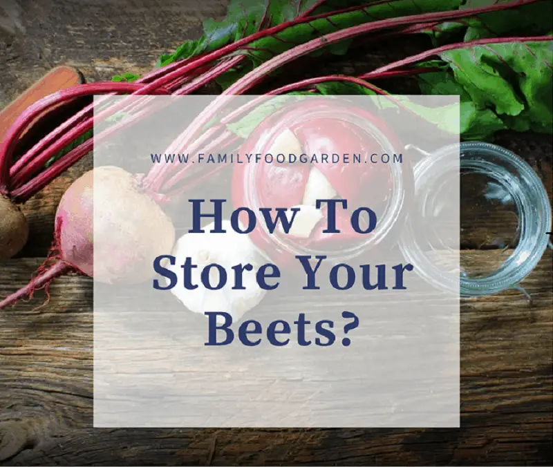 how-to-store-your-beets