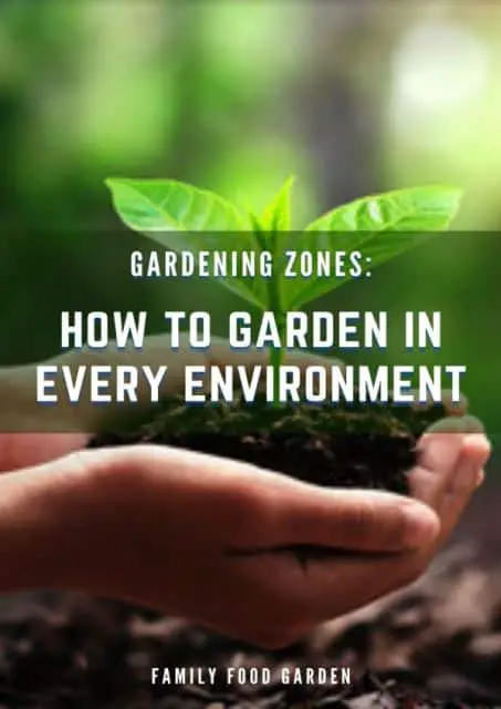 Gardening Zones: How To Garden In Every Environment