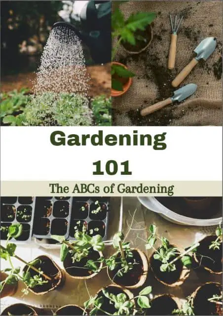 Gardening 101: The ABC's of  Gardening