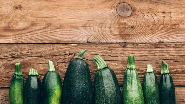 How Far Apart to Plant Zucchini