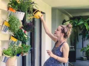 how often should you water herbs