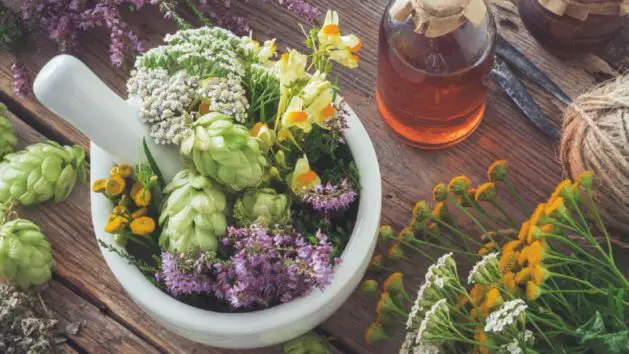 what herbs are good for anxiety