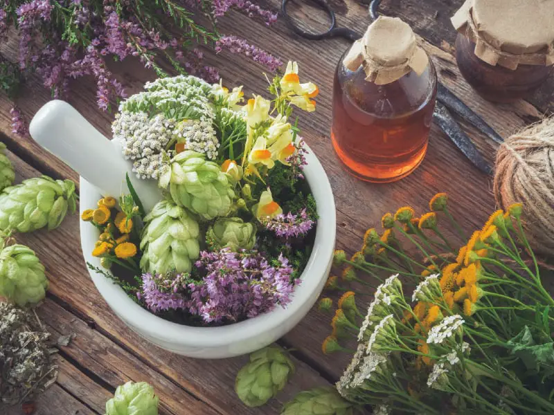 what herbs are good for anxiety