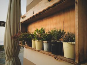 growing herbs indoors without sunlight