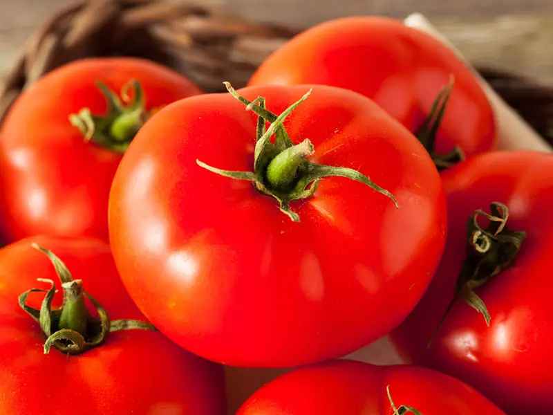 Big Red Beefsteak Tomatoes