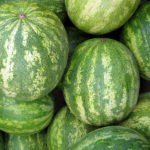 icebox watermelon