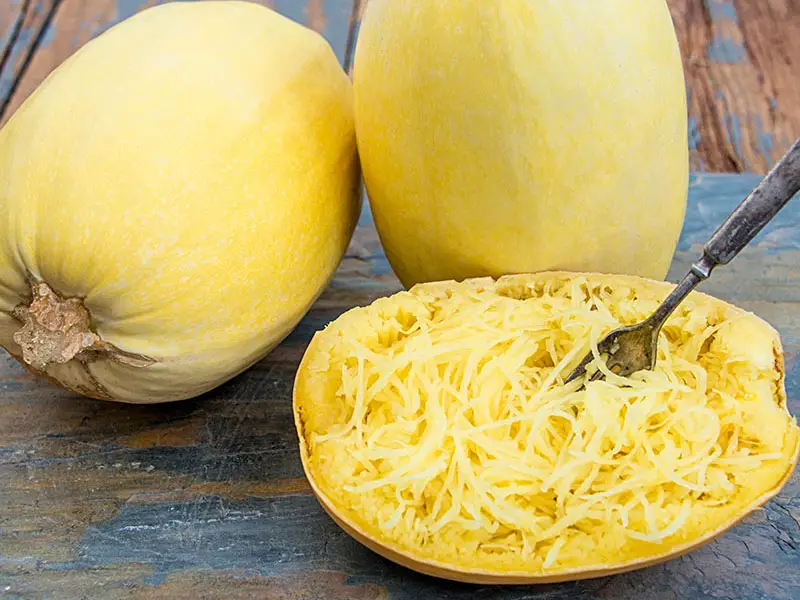 Spaghetti Squash Appearance