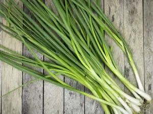 Welch onion growing guide