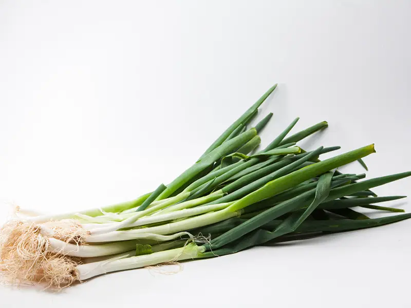 Welsh Onion Appearance