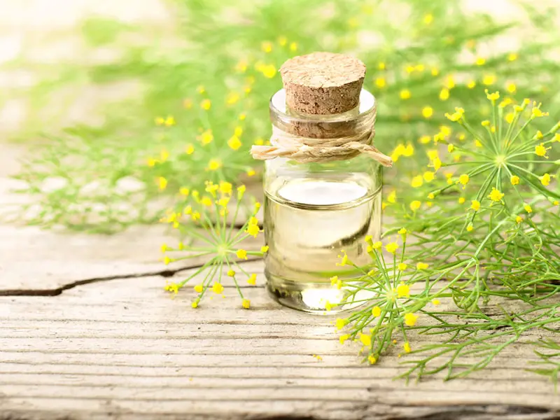 Fennel Flower Oil