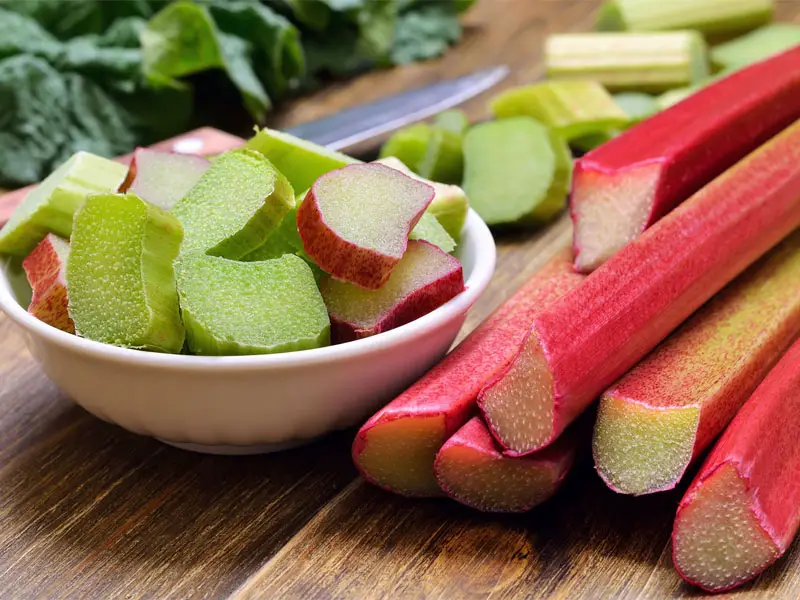 Rhubarb Flower Advantages