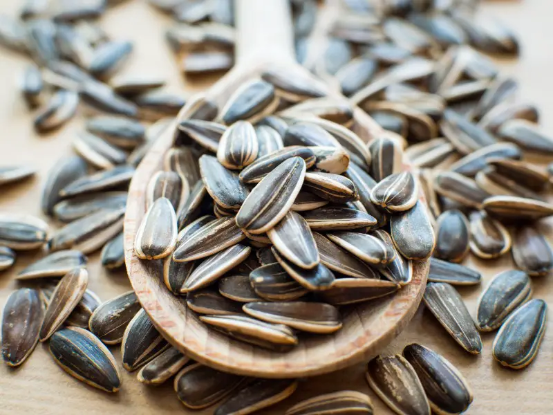 How to Roast Sunflower Seeds