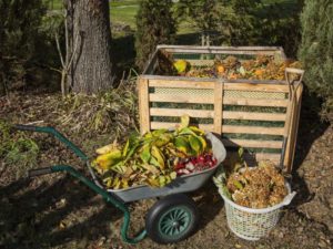 Gardening With Compost