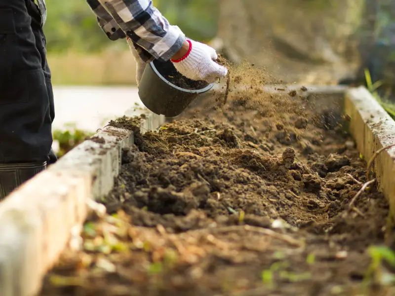 Gardening With Compost