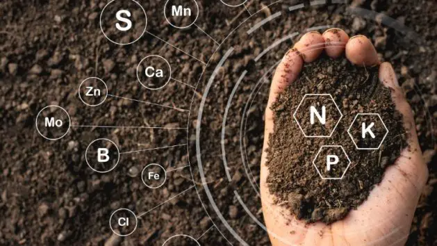 How to Add Nitrogen to Soil