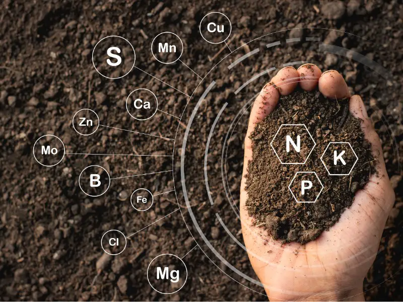 How to Add Nitrogen to Soil