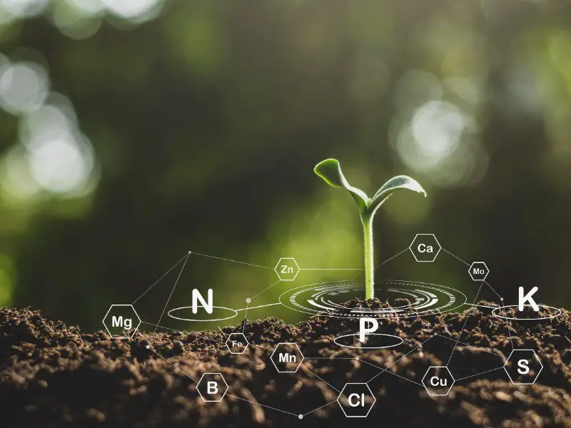 How to Add Nitrogen to Soil