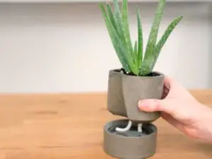 DIY Self Watering Planter