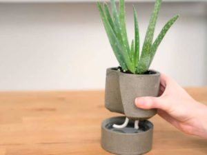 DIY Self Watering Planter